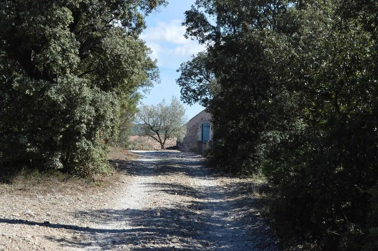 Ferme De Palumiane - Chambres Climatisees Visan Frankrike